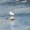 남순천의원 이미지