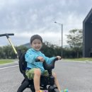 부여하늘농장 이미지