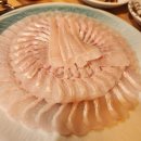 수영 현지인 추천 맛집 해진아나고구이 1.8kg 왕발이 후기