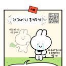 티톡 티스토리