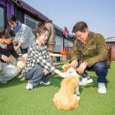 우리동네 펫 이미지