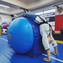 경희대 익스트림 태권도장 이미지