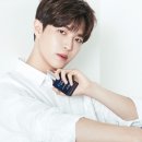 워너클린 이미지