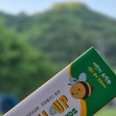 (주)메디덴코 | 구강검사 후 초등학생 충치 고민으로 바꾼 1450ppm 고불소 덴탈업 키즈 치약 어린이불소치약 써본 후기