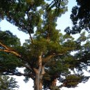 성창(아)입구-48호 국도 | 전남 해남군 두륜산,두륜산 동영상,
