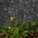 영천통합보건지소 이미지