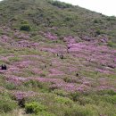 제5차 경남합천 황매산 정기산행 이미지