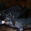 산우리농장 이미지