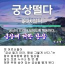 사성 Daum카페