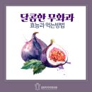 클레오파트라한의원 이미지