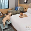 (주) 호텔 더 팔래스 이미지