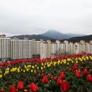 능포 체육공원 이미지