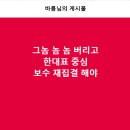 그놈 놈 놈 버리고 한대표 중심 보수 재집결 해야 이미지