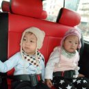 신나는 빨강모자와 친구들 이미지