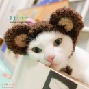 지우마켓