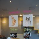 준펫 | 일요일 일상 포스팅