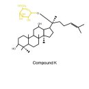 신바이오 이미지