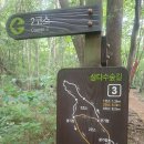 숲길주