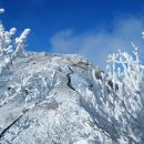 1월20일(일요일) 소백산(충북/단양) 블랙야크 100대 명산 눈꽃축제 이미지