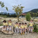 서구그린어린이집 이미지