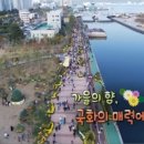 분부골 순금이네 국화된장 이미지