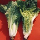 삼용자원 이미지