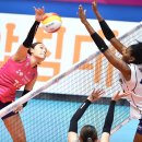 흥국생명 이미지