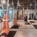 성인 요가 B 이미지