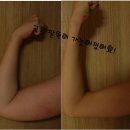 블랙카우 이미지