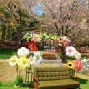 노블카운티약국 이미지