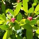 수락폭포 펜션 이미지