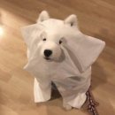 몽글몽글# 이미지