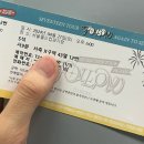 세븐틴 상암콘 Follow Again | 별안간 서른에 오덕이 되어버린 늦덕 캐럿 콘서트후기 (퇴근길 쿱스 봤다!!)