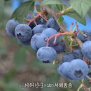 서해푸드 이미지