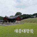 늘푸른소나무약국 | 푸른 소나무 숲길 따라 걷는 힐링 산책, 여주 세종대왕릉