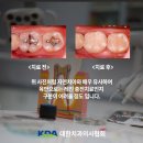 W화이트치과의원 이미지