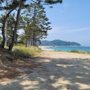 덕신해안변 네이버블로그