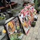 두꺼비 애견 이미지