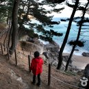 블루로드다리입구 이미지