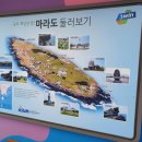 모모토스트 이미지