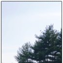 머내과학 공원 네이버블로그