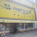 엔젤독스애견 이미지