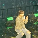 안일운수(주) | 쉬림프와 치킨, 올라!