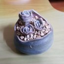 오늘의 아이 이미지