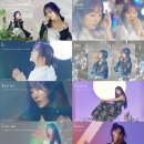 이수영 카카오 검색결과