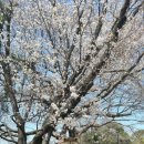 나무아래서(푸드트럭) 이미지