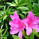 국정원 작성 의심 한덕수 추대위 조직도 보니 명단이 어마어마하네 이미지