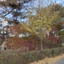 인종목장 이미지