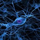 참바른 신경외과의원 이미지