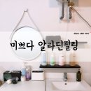 [후기] 여드름 전문 케어 대전 둔산동 미쁘다 알라딘필링 1회 후기
